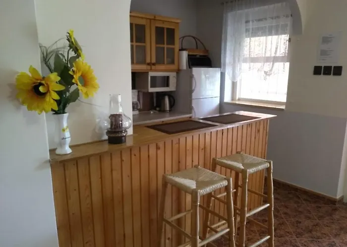 Szemes Balaton Balatonszárszó